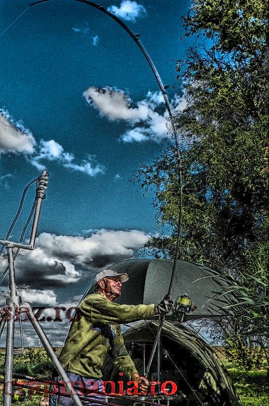 Crapmania (2) - 2013 - 1010353hdrmode2.JPG